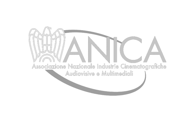 Anica_logo